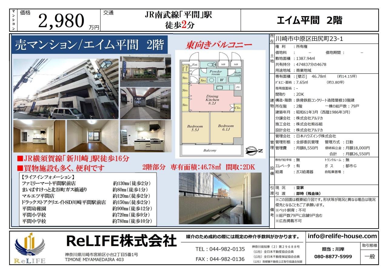 203販売図面